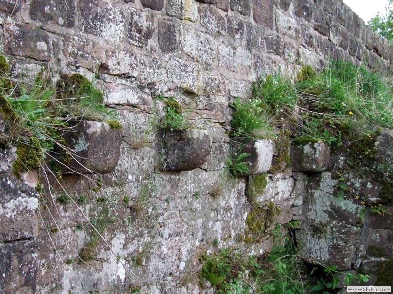 Wegelnburg30