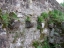 Wegelnburg30