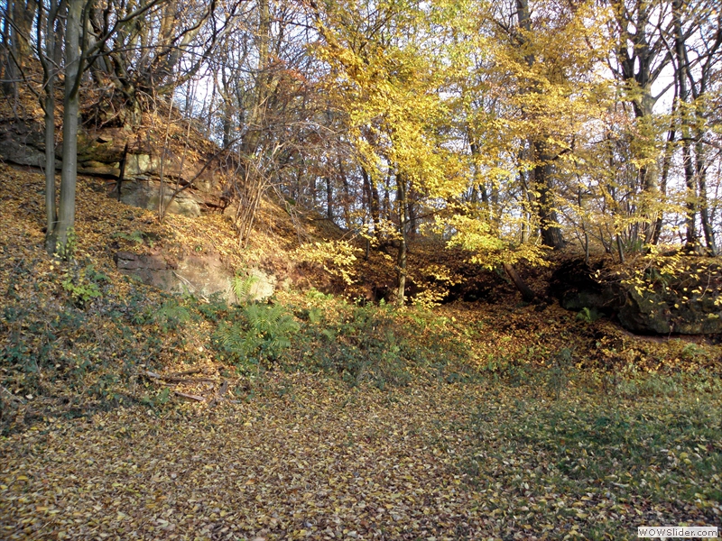 Wiesbach01