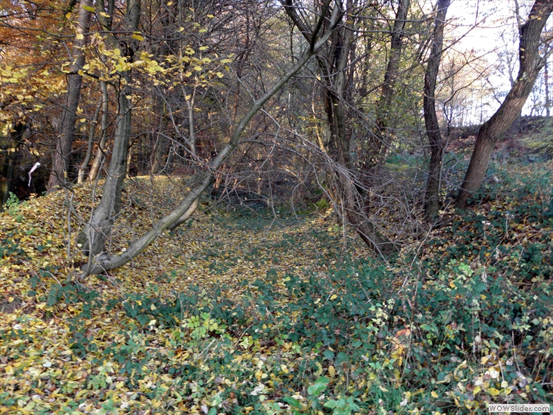 Wiesbach04