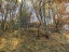 Wiesbach02