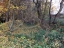 Wiesbach04