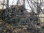 Wiesbach07
