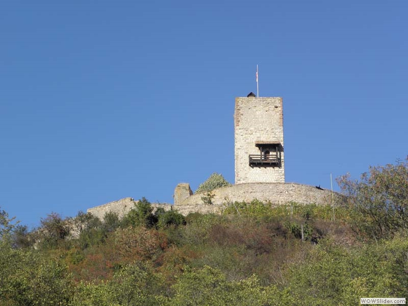 Wineck01