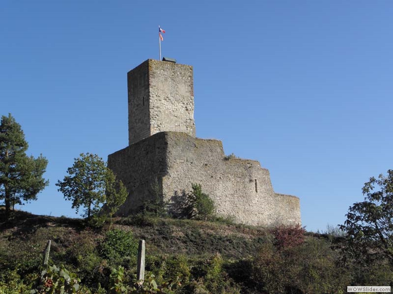Wineck04