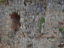 Graefenstein029