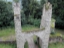 Graefenstein074