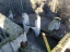 Graefenstein076