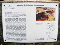 Keltengrab-Kuhfeld-000.jpg